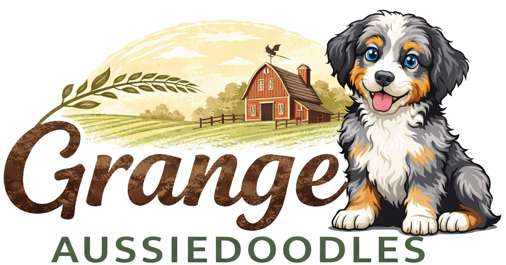 Grange Aussiedoodles